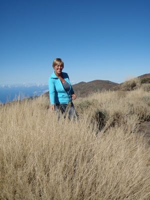 Journée  touristique au nord de Ténérife