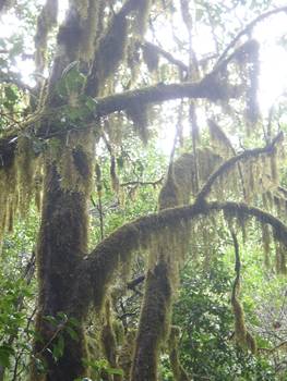 1 semaine à la Marina!