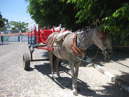 Vacances à Itaparica
