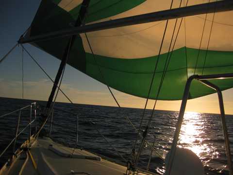 Schwitzt – Adios Abrolhos