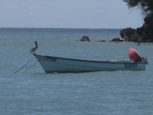 Tobago….Scarborough – Store Bay – Mt Irvine – Plymouth – Castara- Englishman Bay