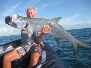 Parties de pêche aux Aves