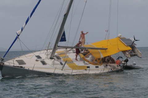 Sauvetage d’Hibiscus!!!