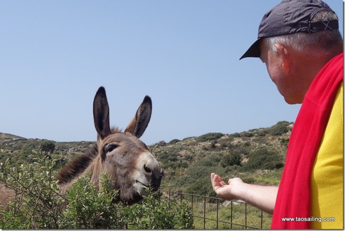 Lipsos – Arki – Mykonos