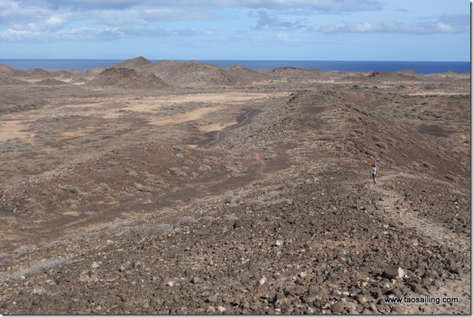 A mi-pente du volcan de isla de Lobos