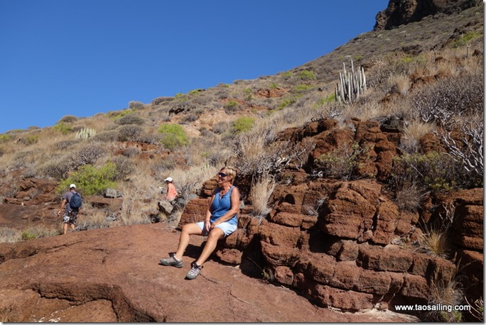 Petite pose sur la route du sommet