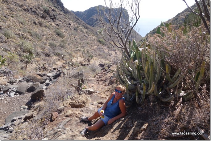 Abandonnée avec une petite bouteille d'eau