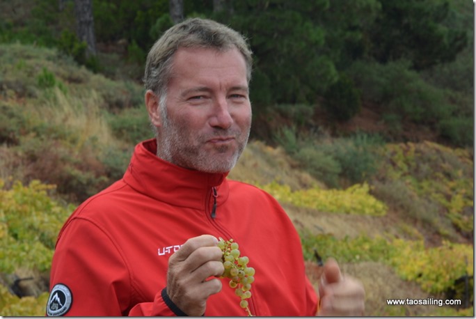 Pas aussi bon que celu du beaujolais!