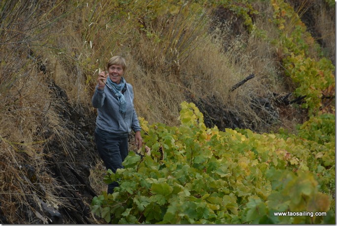 Moi aussi j'en ai trouvé