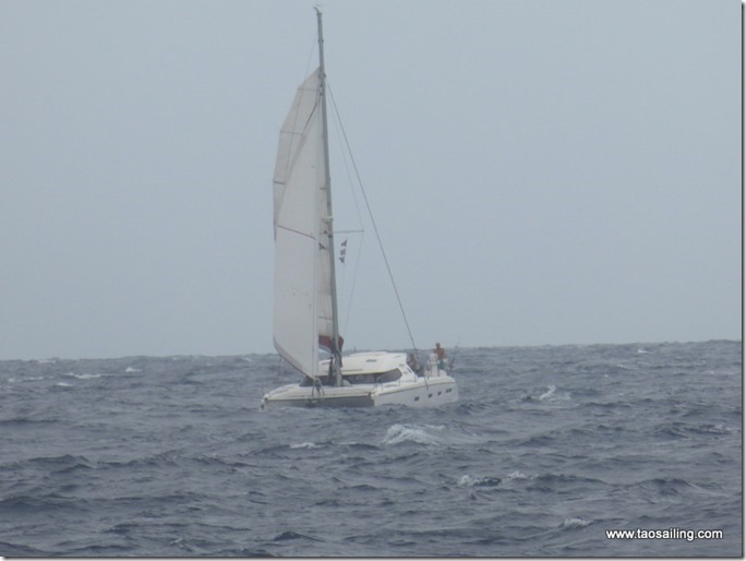 Entre Sal et Boavista