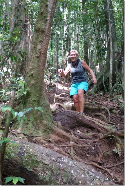 Descente vers la rivière Moustique