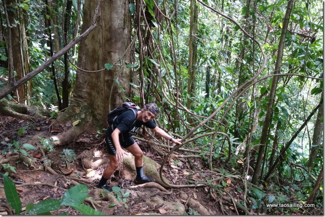 Descente vers la rivière Moustique