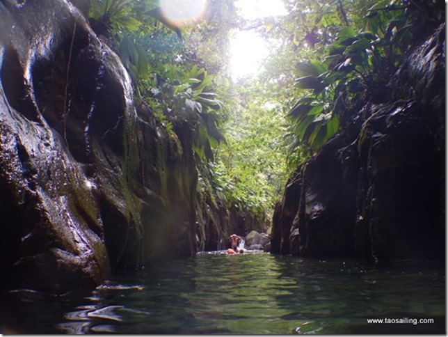 Canyon de la rivière Moustique