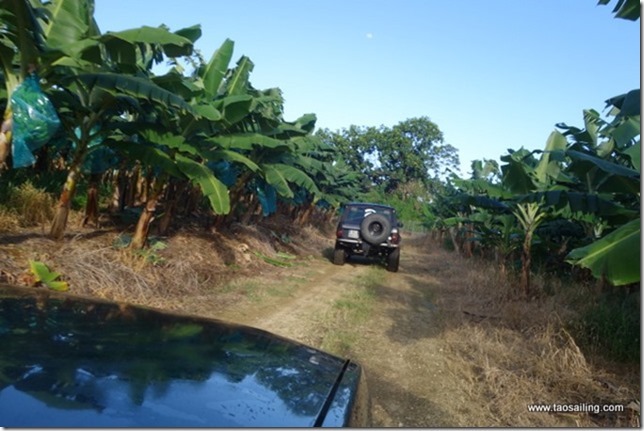 4x4 à Basse Terre