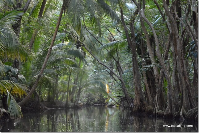 Accueillante Dominique