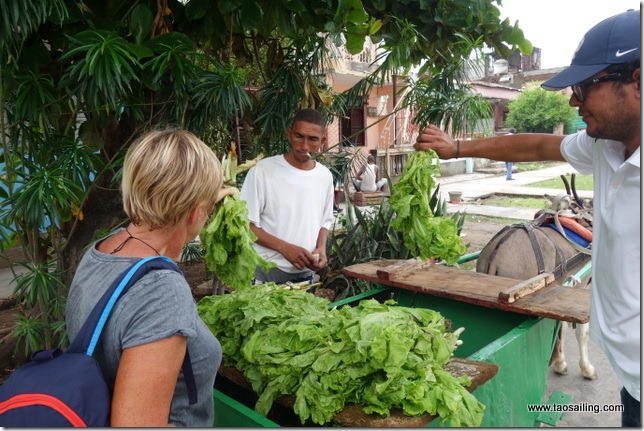 Au coin d'une rue nous tombons sur un vendeur de salade