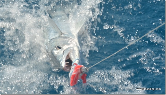 Ne pas y mettre les doigts!