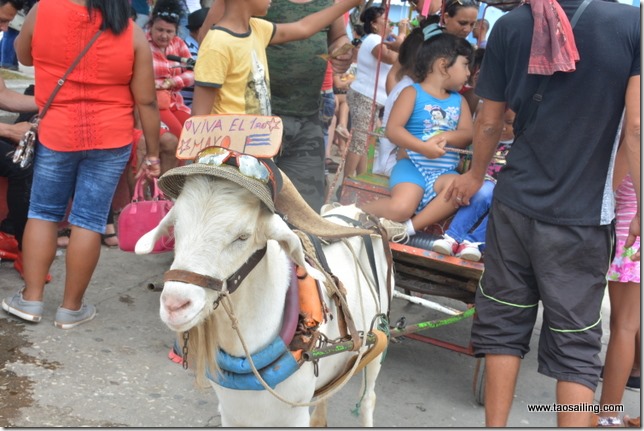 Tout le monde défile le 1er Mai