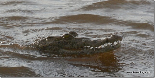 on n'y mettrait pas les doigts!