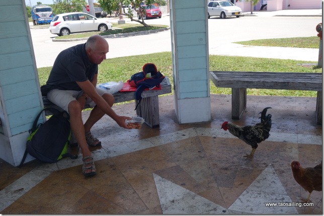 Déjeuner sur le parking du supermarché