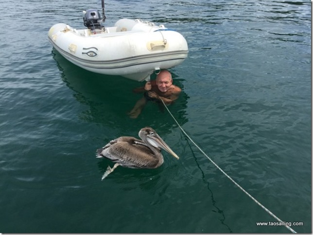 Cap sur les Marquises