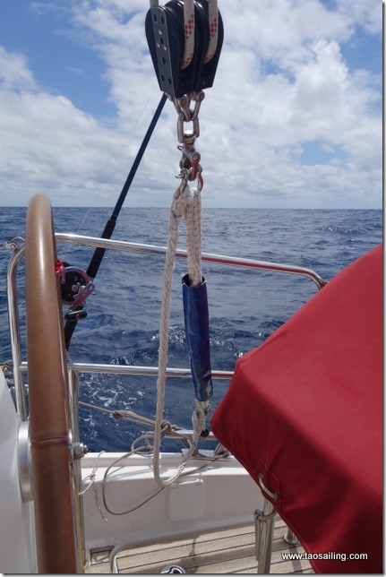 “Bungee” de bôme