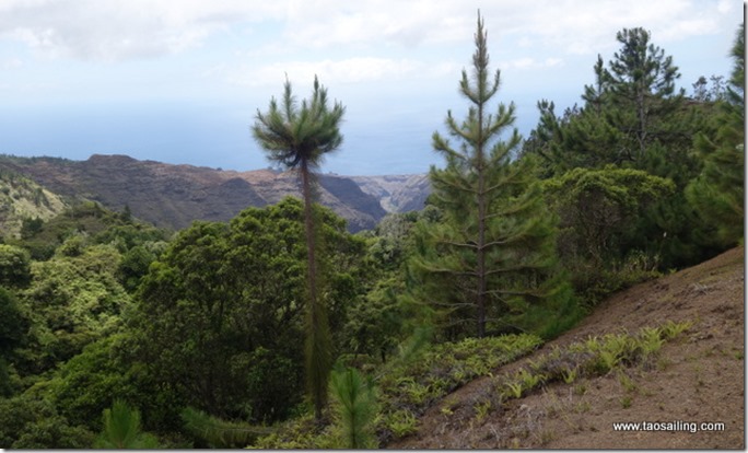 Nuku Hiva, Terre Deserte - le Grand Canyon