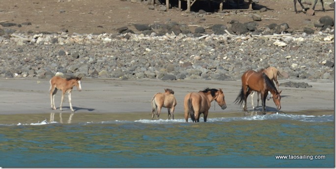 17-12 Tahuata Festival_21