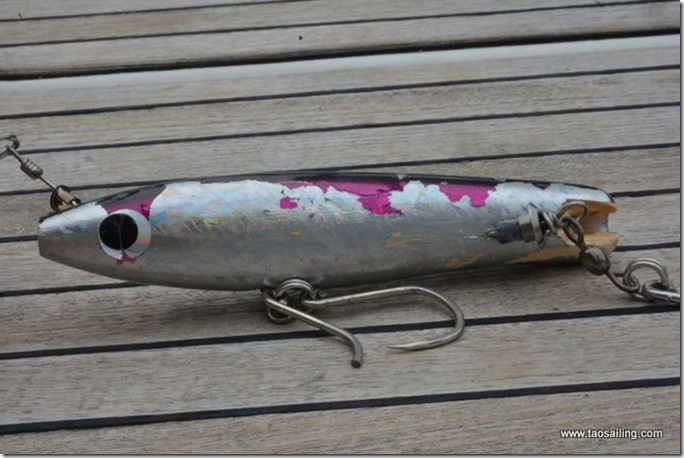 Leurre offert par Utopie... après attaque de marlin