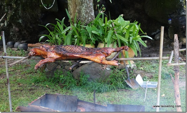 Février… mois des BBQ