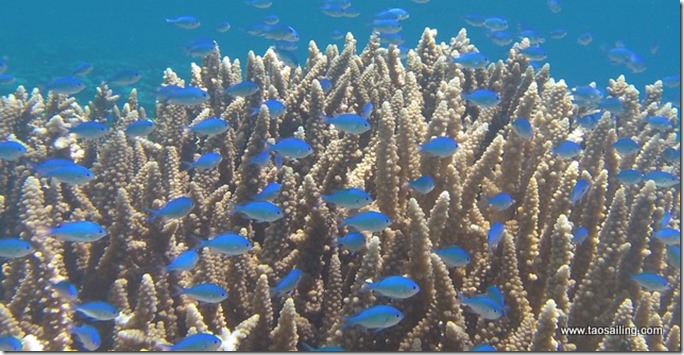 Gambier- On ne s’en lasse pas!