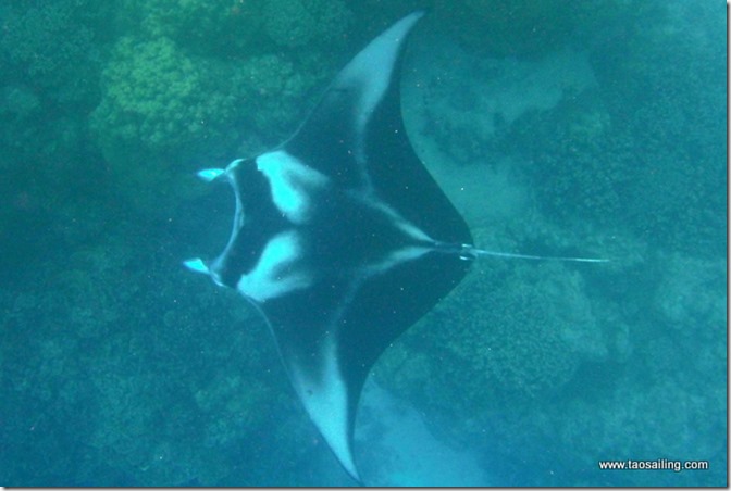 180717 Geye Bora_0017