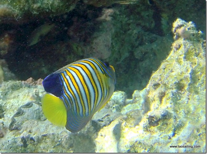 180722 Geye Bora_0045