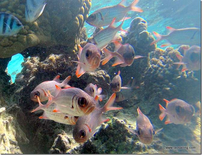 180722 Geye Bora_0048