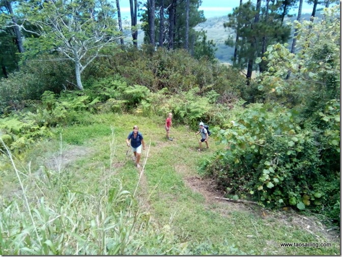 Cap au sud…les Australes