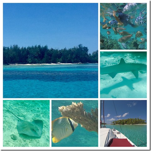 Gambier_Février2019