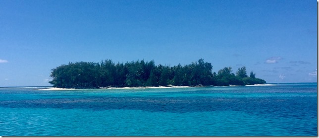 “BUG”sur le blog