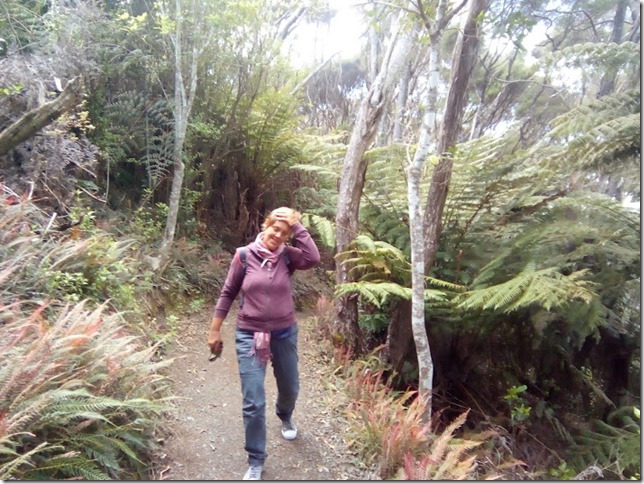 Haruru Falls première randonnée