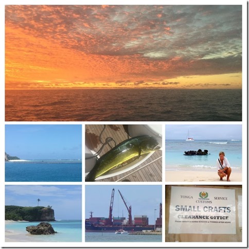 IMG_0914-COLLAGE_thumb40