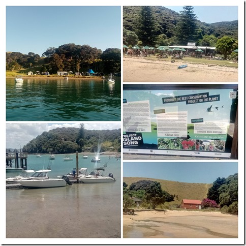 IMG_20191227_134757-COLLAGE