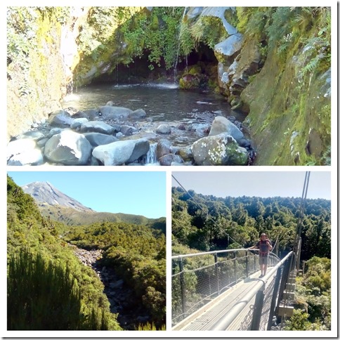 IMG_20200224_102838-COLLAGE