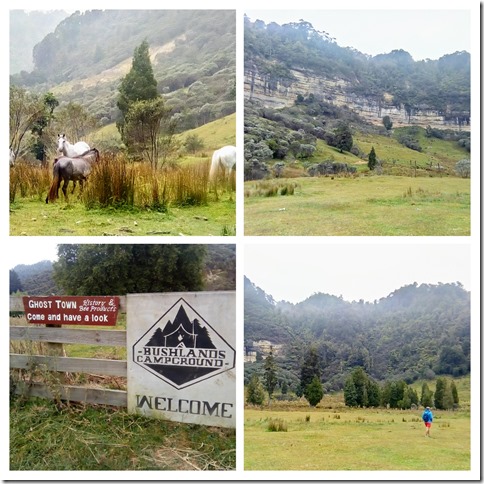 Janvier 2020_Forgotten Highway