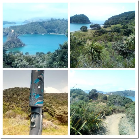 Moturua Island Loop