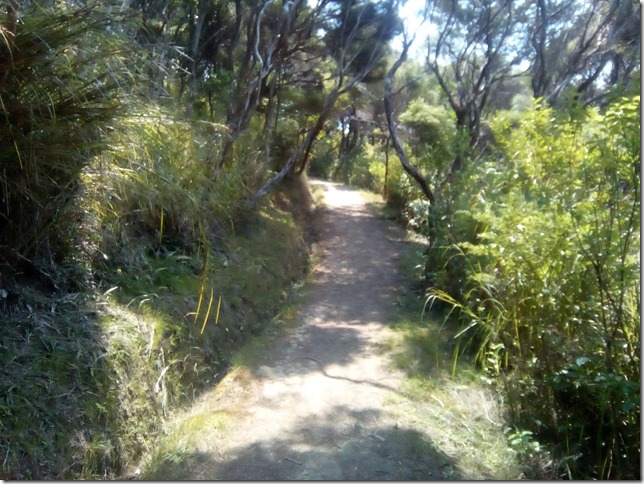 Moturua sentier
