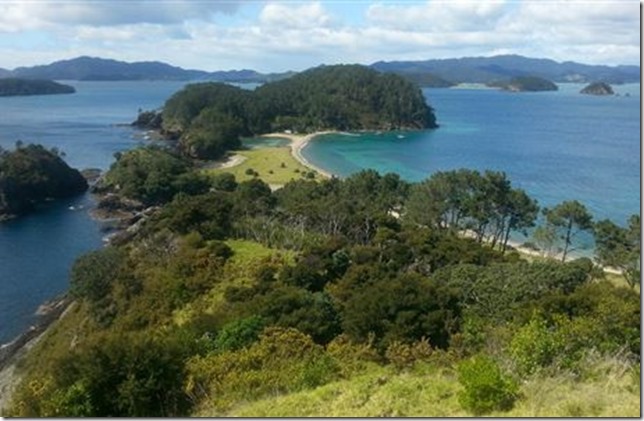 motuarohia-view-1290