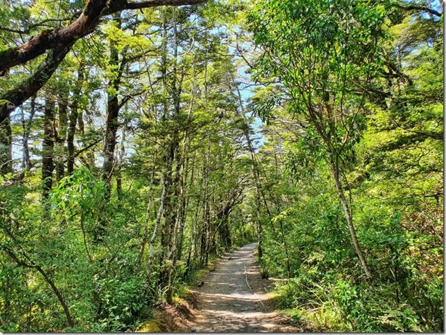 tama-lakes-track-trail