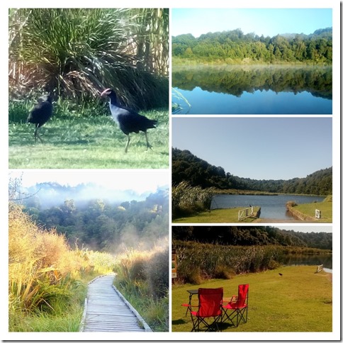 IMG_20200224_162030-COLLAGE