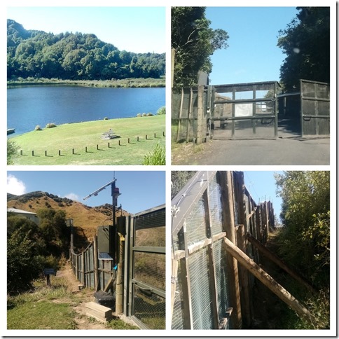 IMG_20200224_171740-COLLAGE