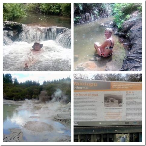 IMG_20200227_123441-COLLAGE