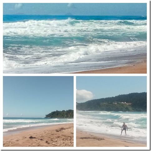 IMG_20200228_115008-COLLAGE